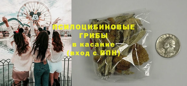 первитин Новозыбков