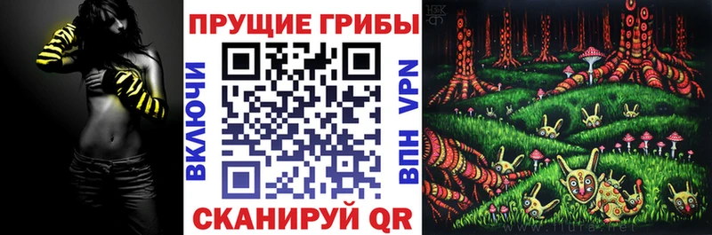 OMG маркетплейс  Цимлянск  Псилоцибиновые грибы мицелий  продажа наркотиков 