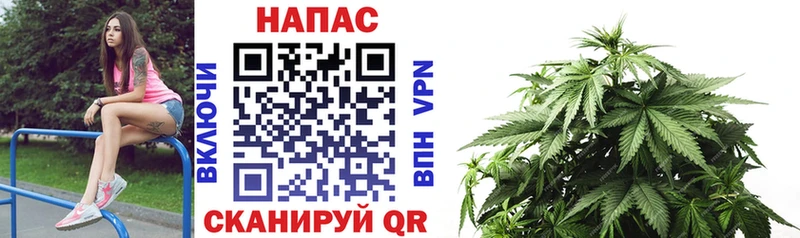 МАРИХУАНА OG Kush hydra онион Цимлянск сколько стоит
